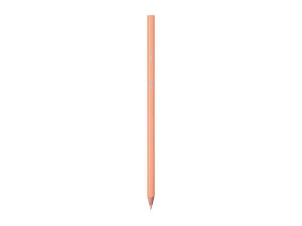 BIC Stationery Assortment
