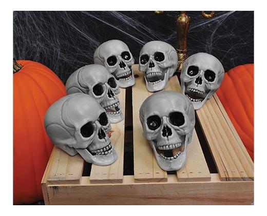 Huntington Home Bones or Skulls