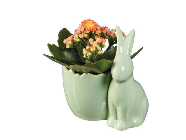 Easter Ceramic Bunny Plant