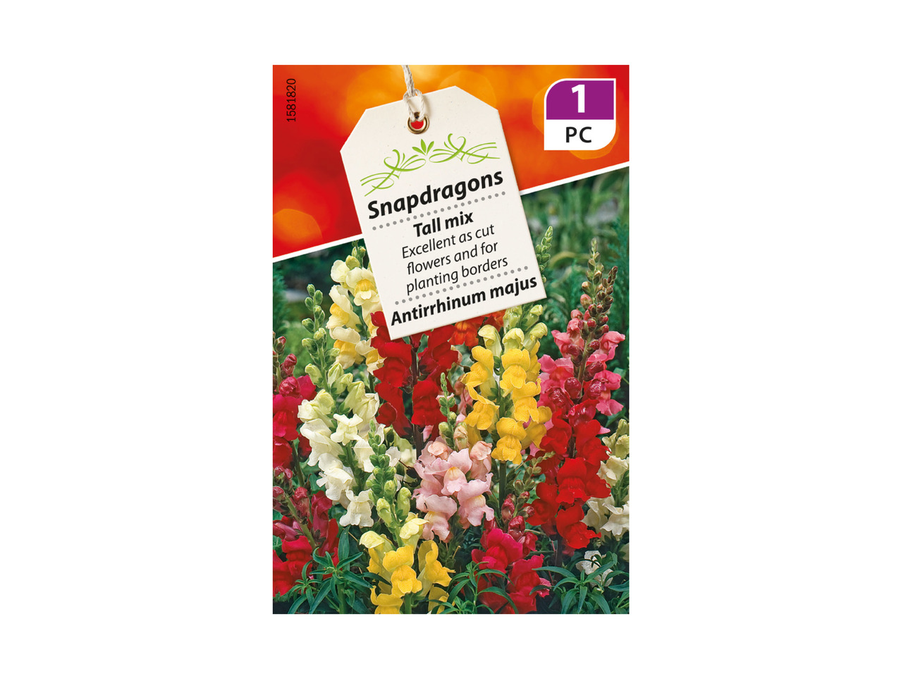 Fine Seeds1