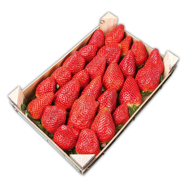 Premium Erdbeeren