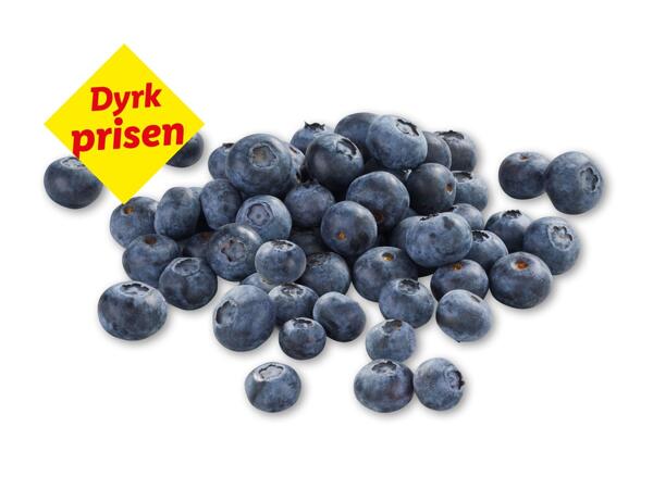 Blåbær
