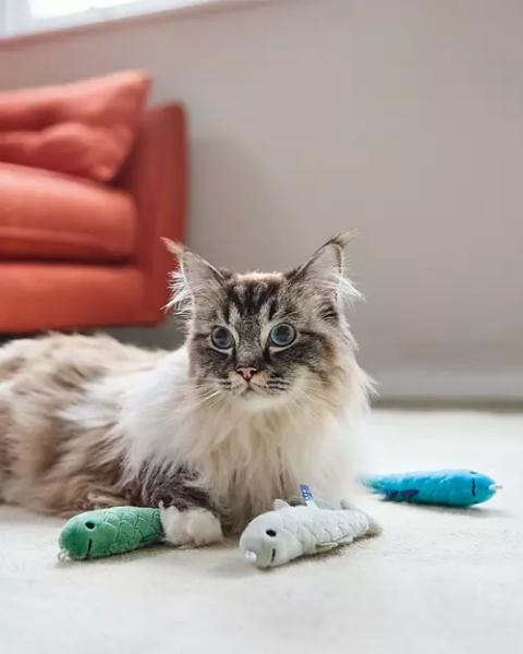 Battersea Cat Toy