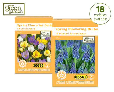 Spring Flowering Bulbs