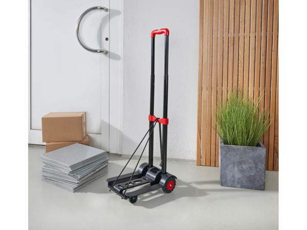 Folding Load Carrier