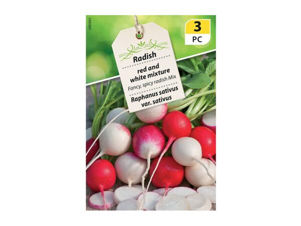 Speciality Radish Seeds