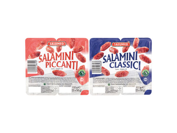 Mini salami