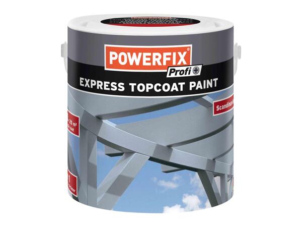 Express Topcoat Paint