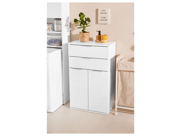 Cabinet with 2 Drawers and 2 Doors