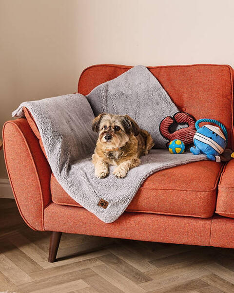 Soft Pet Blanket