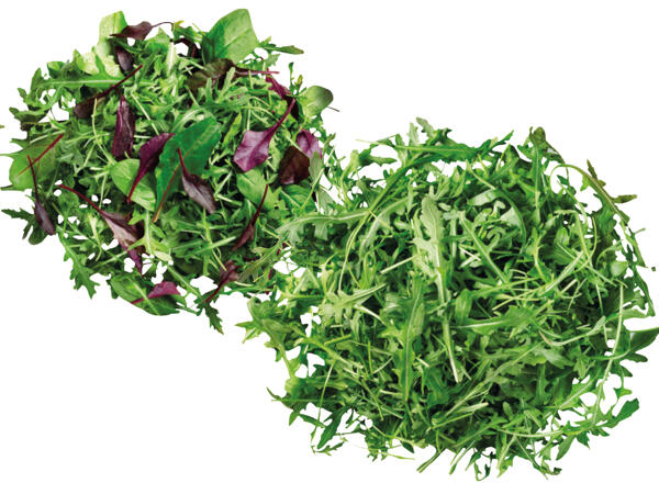 Rucola oder Mix Salat