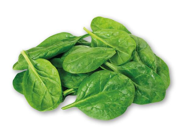 Dansk Crisp salat eller spinat