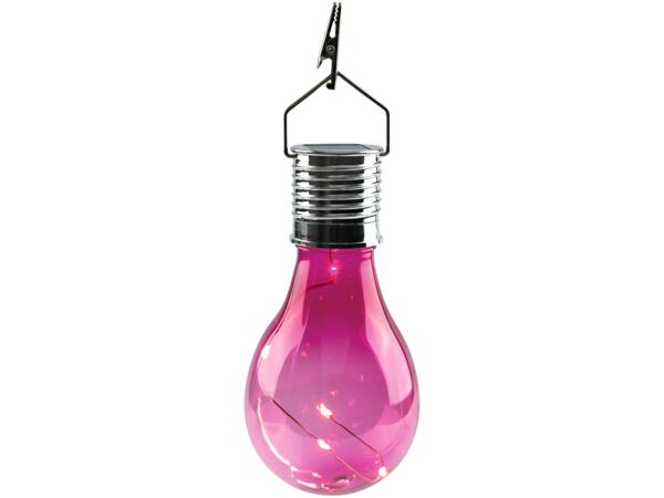 Decorative Solar Light