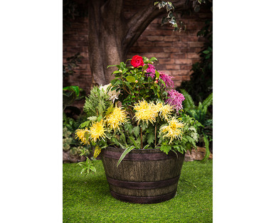 Gardenline Whiskey Barrel Planter
