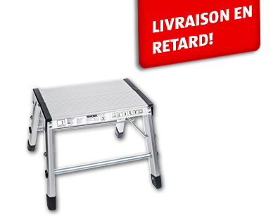 Escabeau pliable 1 marche WORZONE(R)