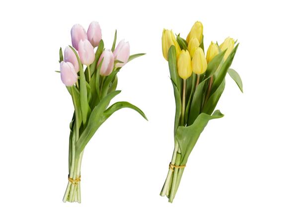 Tulipani