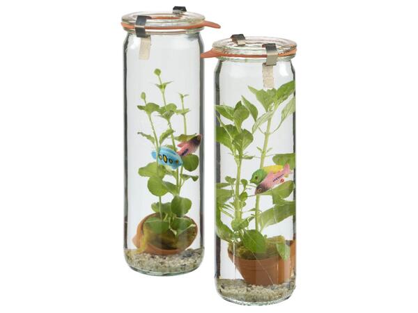 "Waterworld" plants