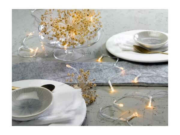Livarno Home 20 LED String Lights