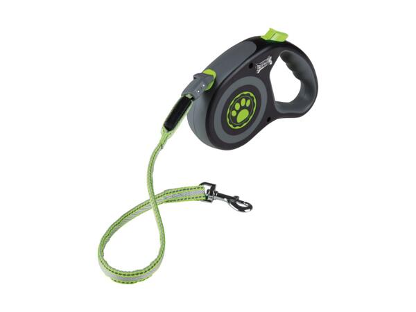 Dog Leash with LEDs