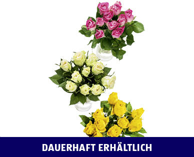 FAIRTRADE MAX HAVELAAR ROSEN