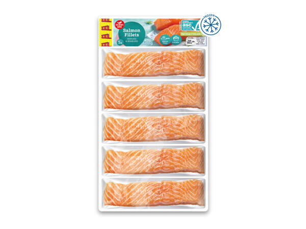 Ocean Sea Salmon Fillets