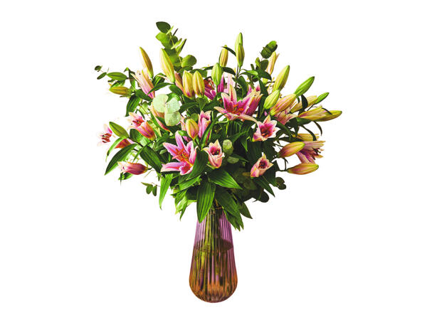 Luxury Lilies