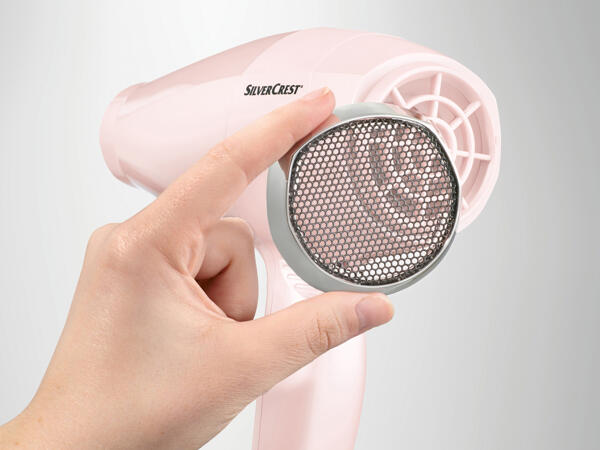 Professional Ionic Hair Dryer