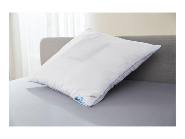 Livarno Home Microfibre Feran Ice Pillow