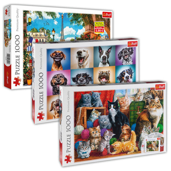 1000 Teile Puzzle