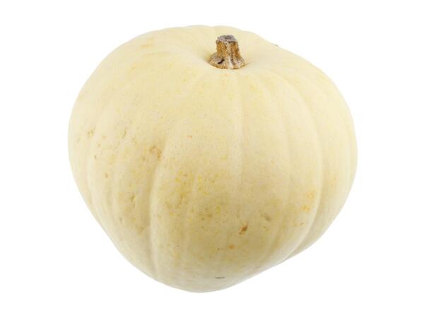 Ghost Pumpkin