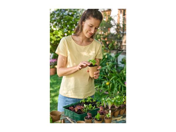 Parkside Propagator Set