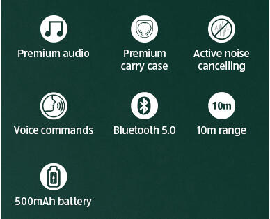 Bluetooth Noise Cancelling Headphones