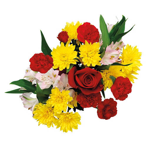Growers Choice Bouquet - Assorted Color