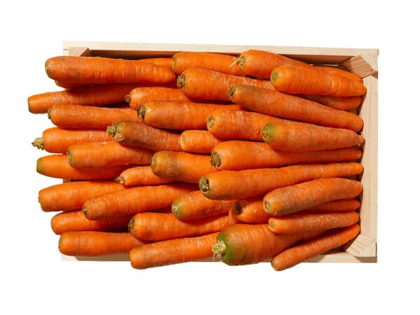 Carottes bio