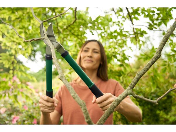 Bypass Lopping Shears/Hedge Shears