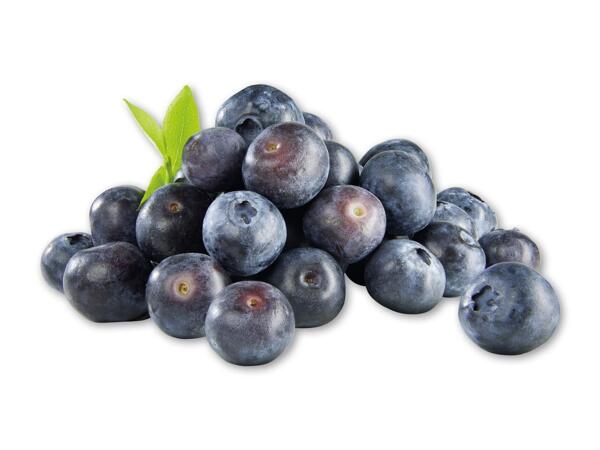 Blåbær