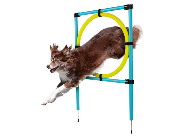 zoofari(R) Potřeby pro agility