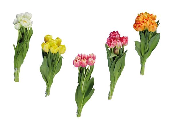 Tulipes remplies