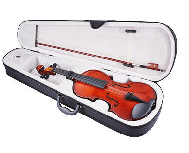Solid Wood Violin
