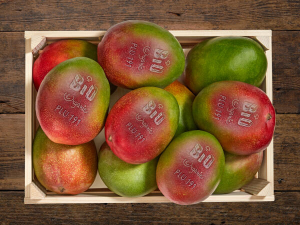 Mangue bio