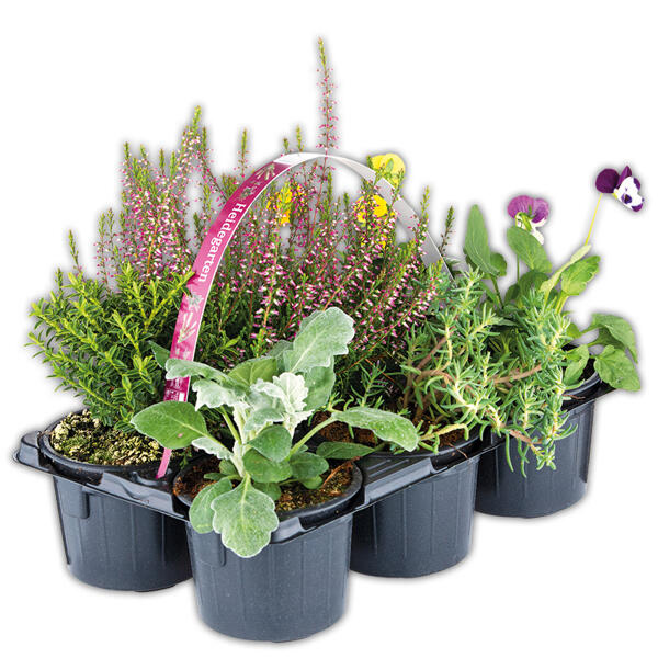 Heidegarten Mix