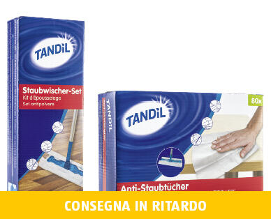 TANDIL 
 PANNI CATTURAPOLVERE/ SET SCOPA CATTURAPOLVERE