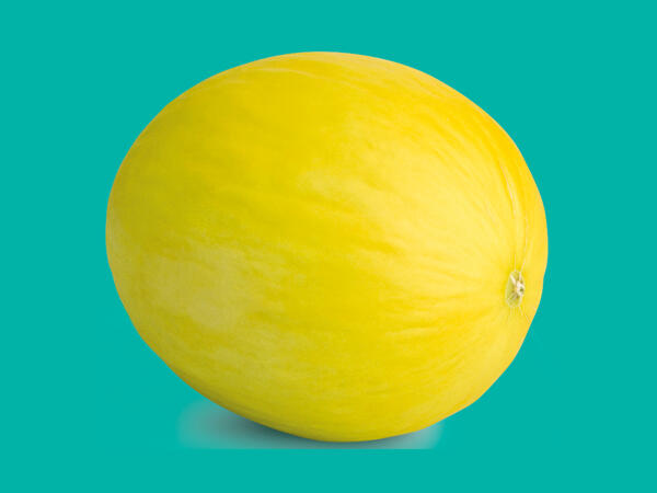 Honeydew Melon