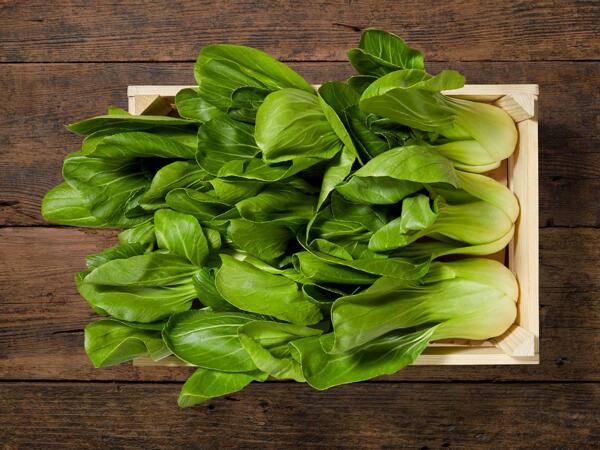 Pak Choi