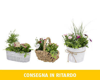 COMPOSIZIONI PER LA FESTA DELLA MAMMA
