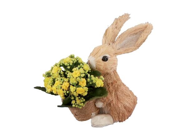 Small Bunny Arrangement