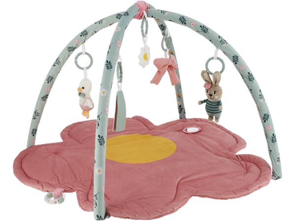 Baby Activity Gym