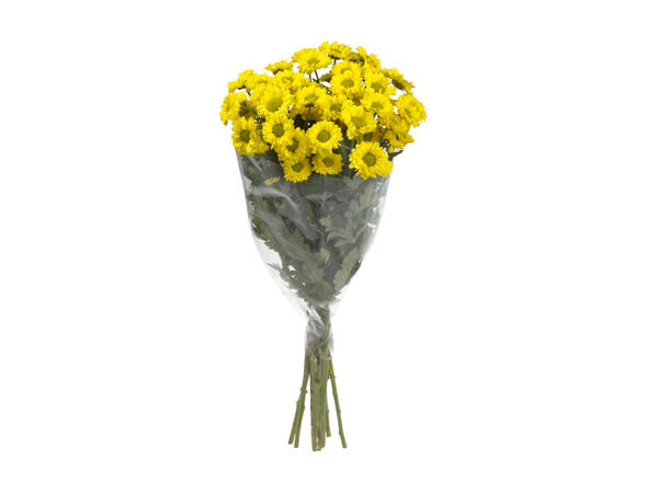 Bunch of Chrysanthemums