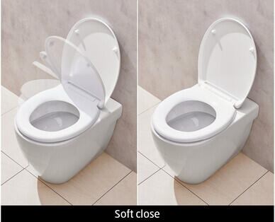 Soft Close or Family Toilet Seat