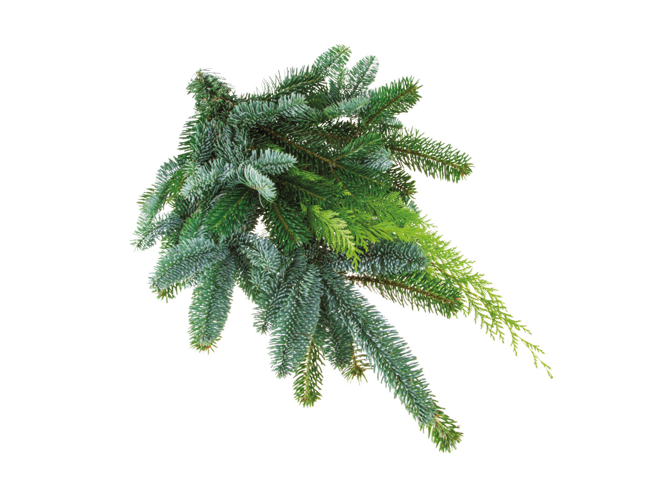 Seasonal Foliage1